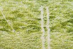 Tappeto Kilim In Stile Berbero Del Marocco Azilal 250 x 160 cm