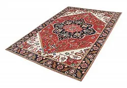 Tappeto Orientale - Hariz Hand Knotted - 241 x 313 cm