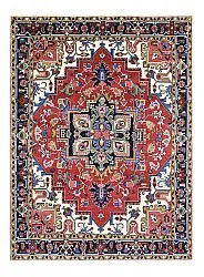 Tappeto Orientale - Hariz Hand Knotted - 309 x 432 cm