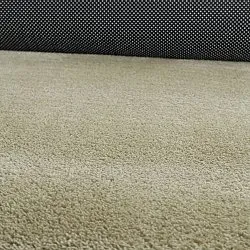 Tappeto Shaggy Ondulato Asimmetrico - Aranga Super Soft Fur (verde chiaro)