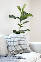 Federa - Bonita (beige)
