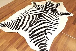 Pelle di zebra 14