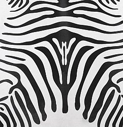 Pelle di zebra 02