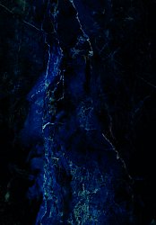 Tappeto Wilton - Zuani (blu scuro)