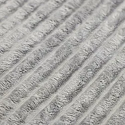Coperte - Haines Blanket (grigio)