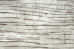 Tappeto Wilton - Uzla (grigio)