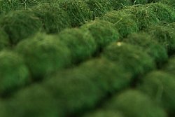 Tappeto In Lana - Avafors Wool Bubble (verde)