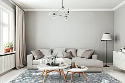 Shaggy Indoor-Outdoor - Trenton (bianco/blu)