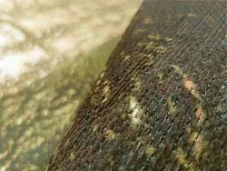 Tappeto Wilton - Junes (oro)