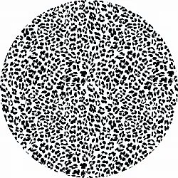 Tappeti rotondi - Leopard (nero/bianco)