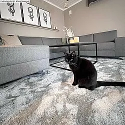 Tappeto A Pelo Lungo - Aranga Super Soft Fur (grigio)
