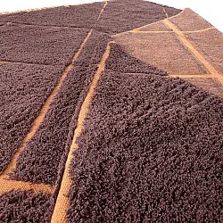 Tappeto A Pelo Lungo - Bellevue Natural Cotton Shaggy (rosso/arancione)