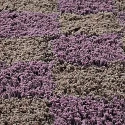 Tappeti rotondi - Elsey Natural Cotton Shaggy (marrone/viola)