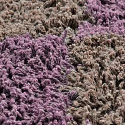 Tappeti rotondi - Elsey Natural Cotton Shaggy (marrone/viola)