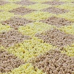 Tappeti rotondi - Elsey Natural Cotton Shaggy (giallo/beige)