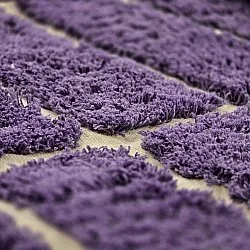 Tappeto rotondo - Ikara Natural Cotton Shaggy (viola)