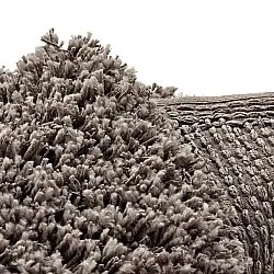 Tappeto rotondo - Combarro Solid Cotton Shaggy (taupe)