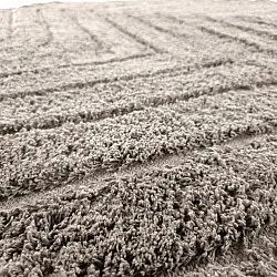 Tappeti rotondi - Conara Natural Cotton Shaggy (tortora)
