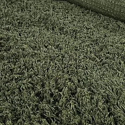 Tappeto A Pelo Lungo - Fassale Hand Woven Wool Shaggy (verde muschio)