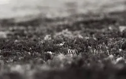 Tappeto A Pelo Lungo - Shaggy Luxe (antracite)