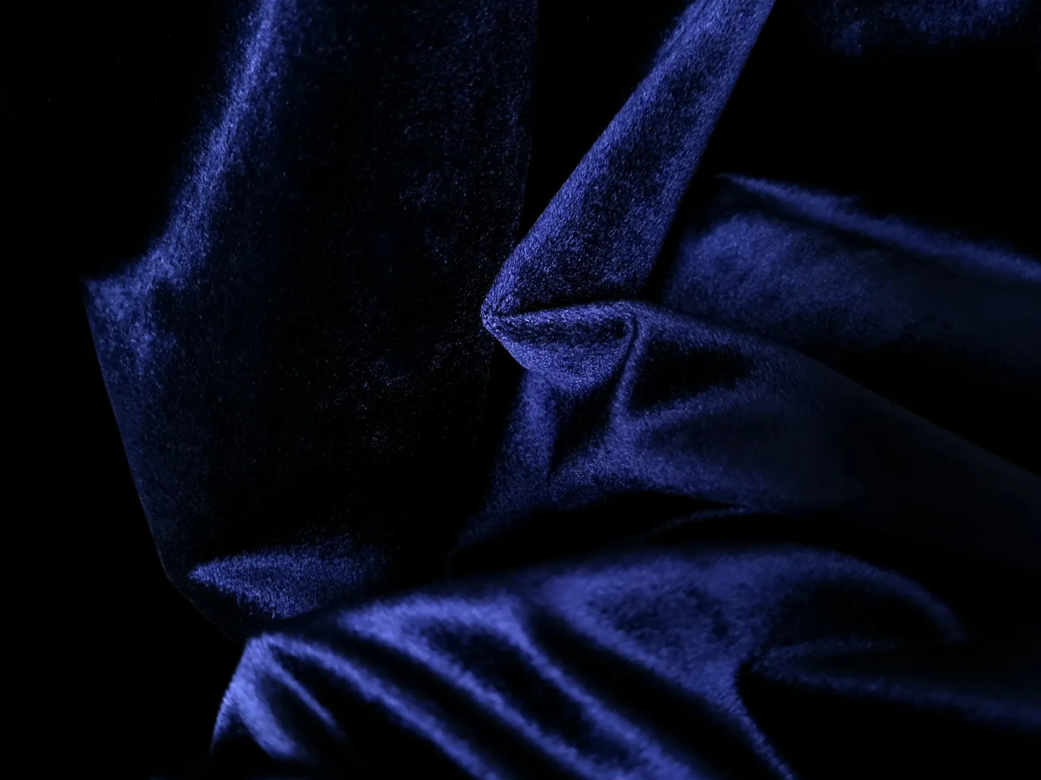 Tende - Tende di velluto Marlyn (blu scuro)