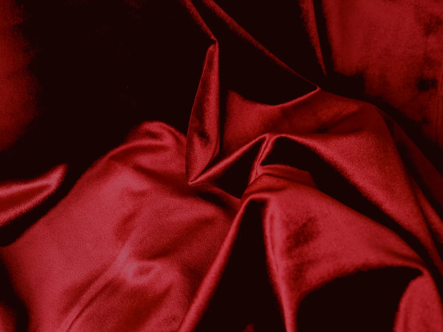 Tende - Tende di velluto Marlyn (rosso)