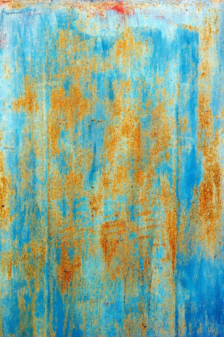 Tappeto Wilton - Molina (blu)