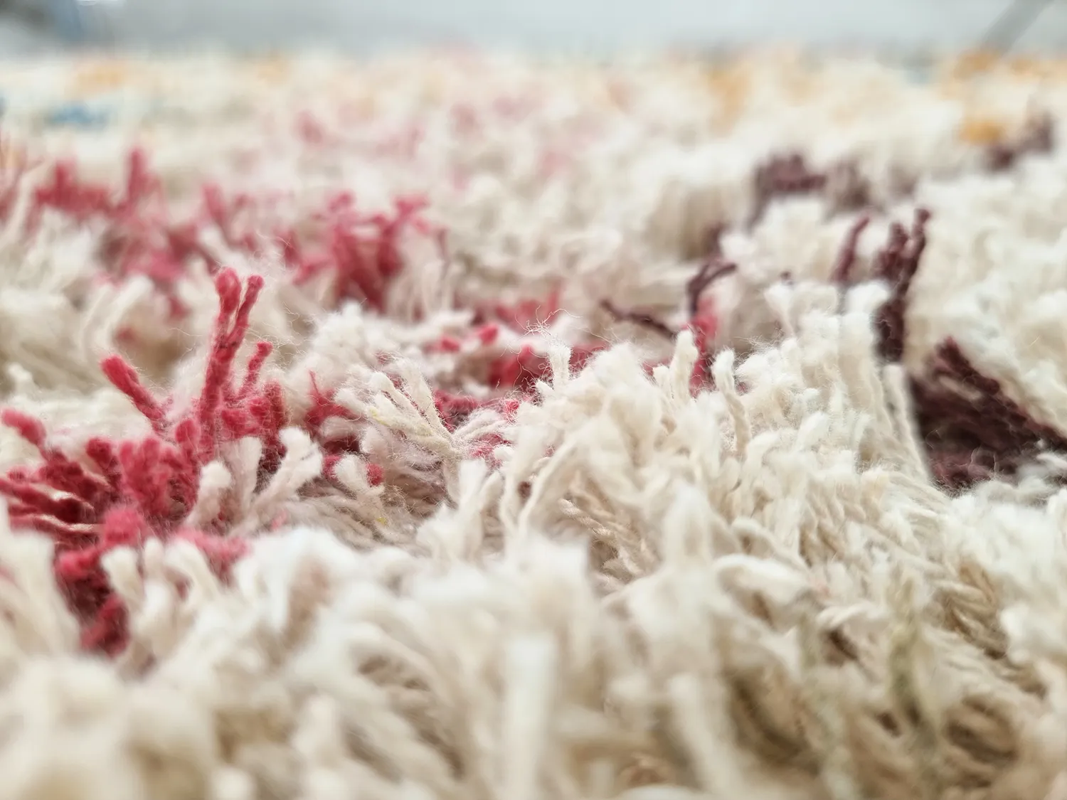 Tappeto A Pelo Lungo - Maloney Natural Cotton Shaggy (multi)