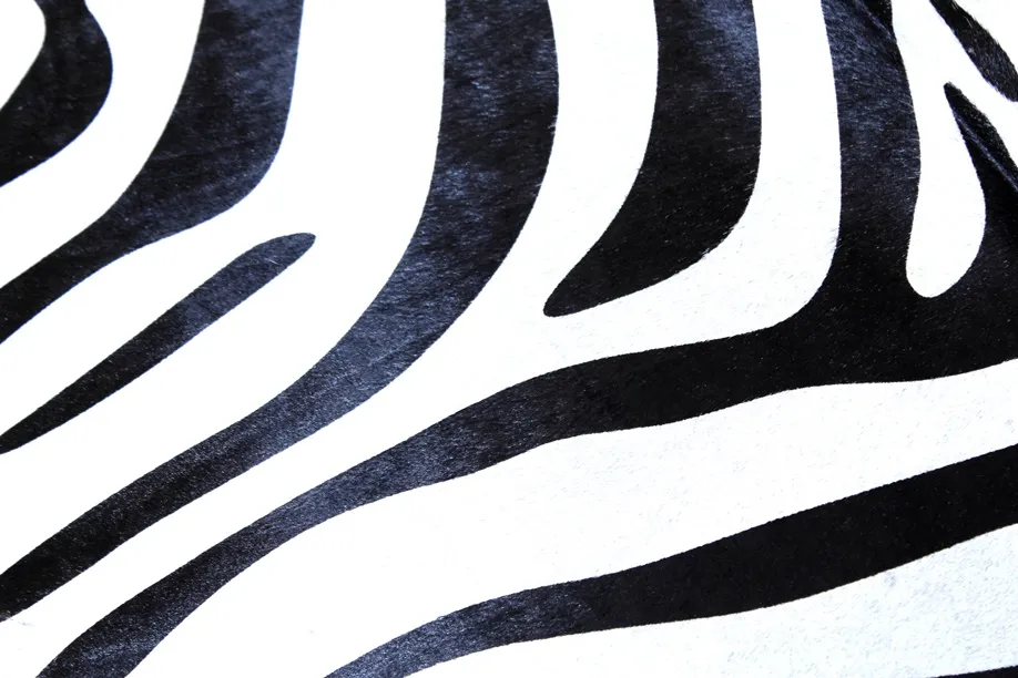 Pelle di zebra 14