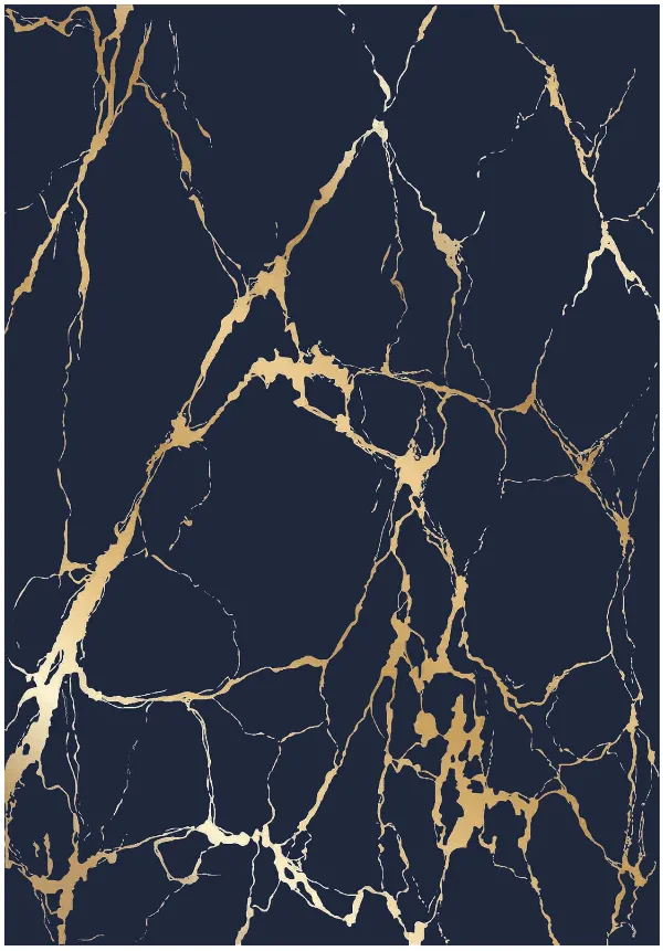Tappeto Wilton - Cesina (nero/oro)