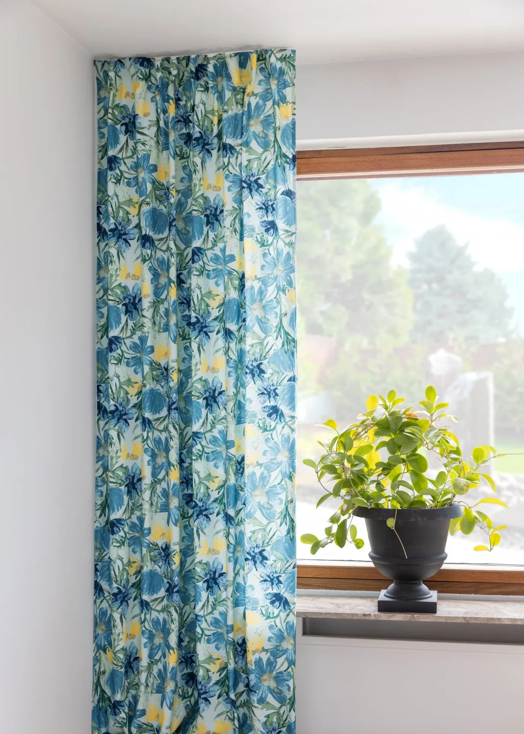 Tende - Cortina di cotone Cutie (blu)