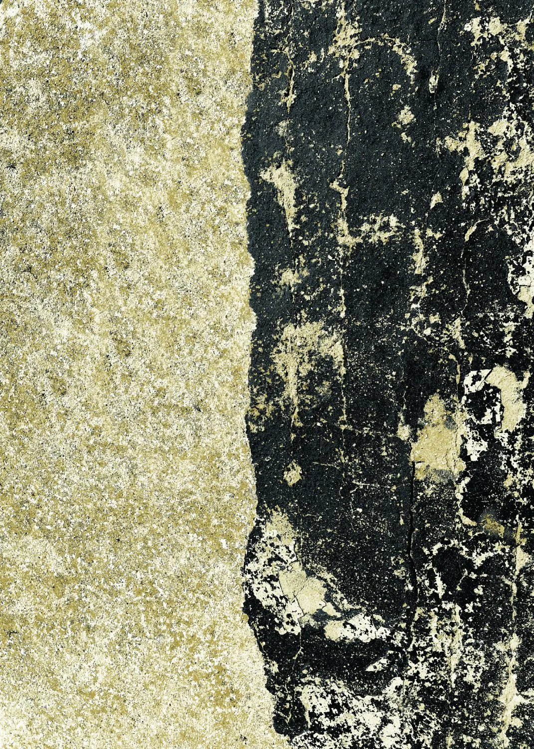 Tappeto Wilton - Cyra (nero/oro)