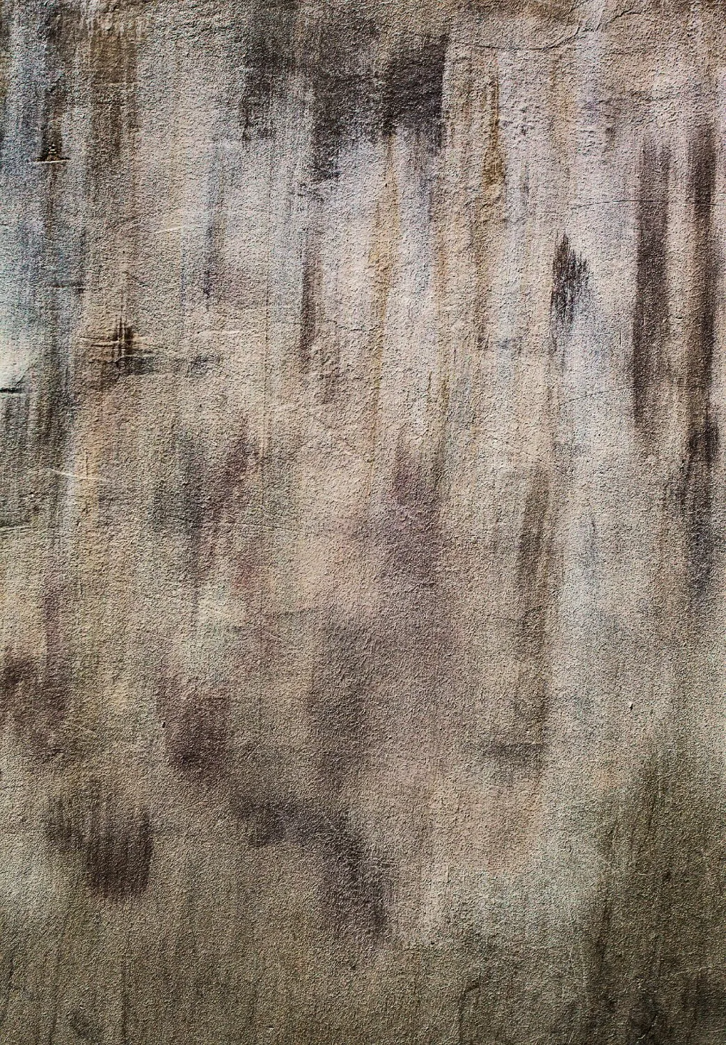 Tappeto Wilton - Polia (grigio/marrone)