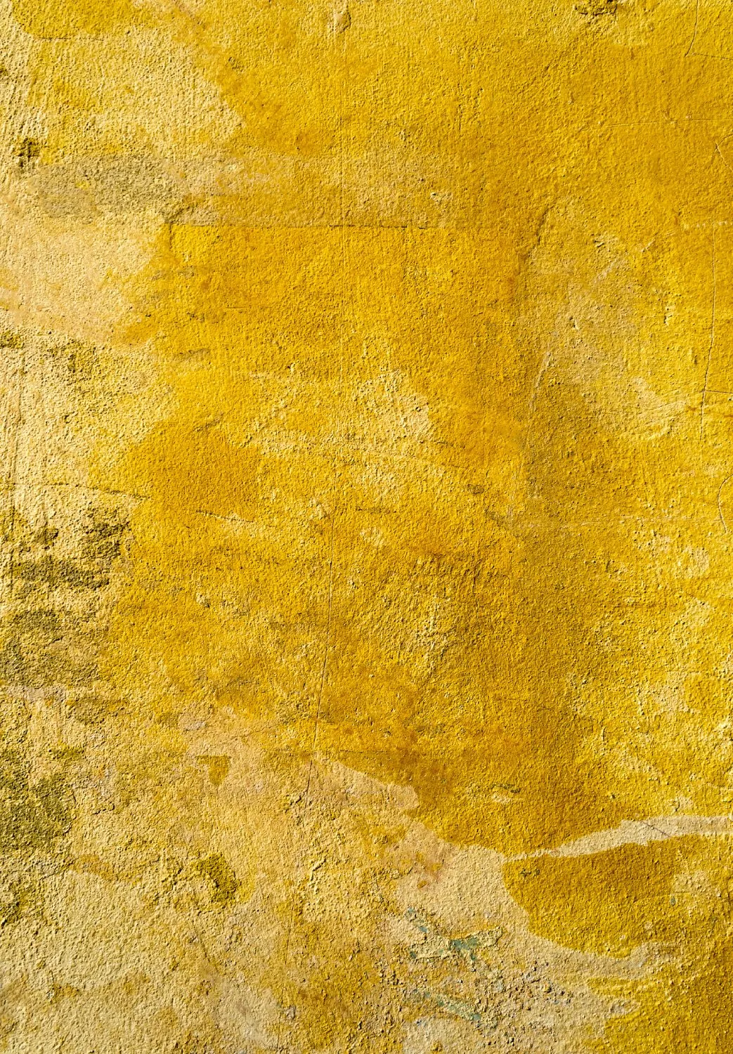 Tappeto Wilton - Arbus (oro)