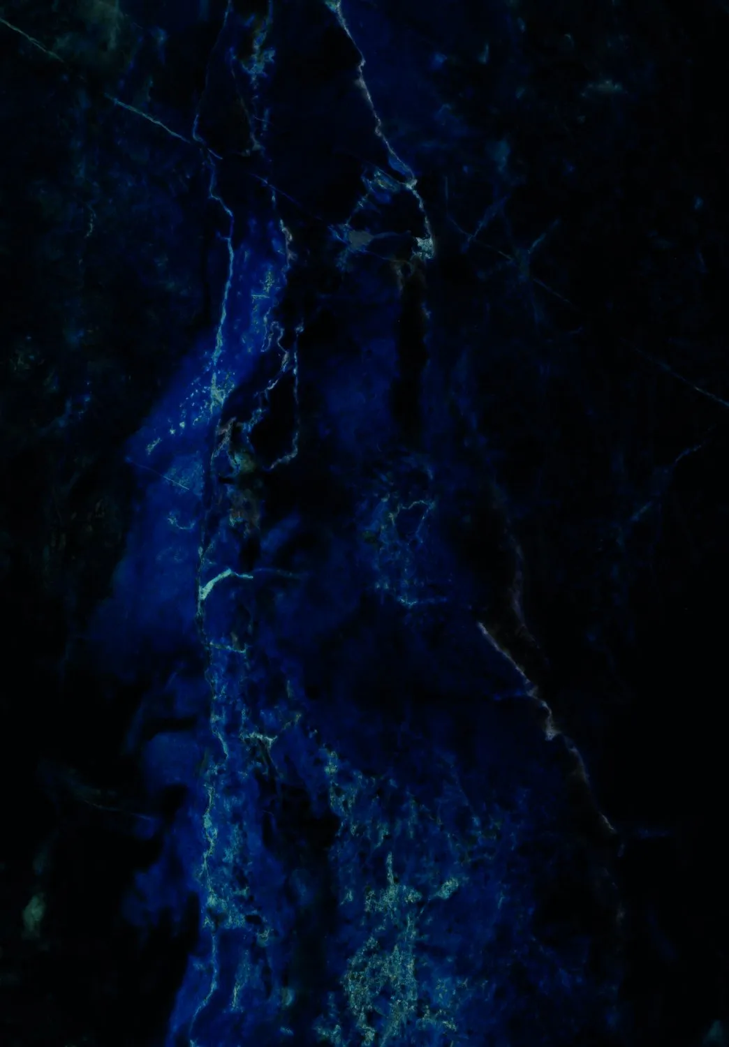 Tappeto Wilton - Zuani (blu scuro)