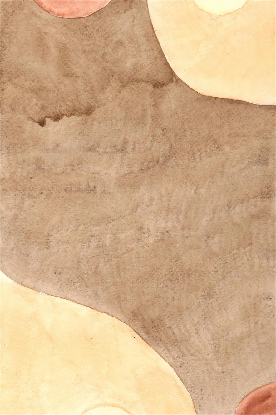 Tappeto Wilton - Nisa (marrone/beige)