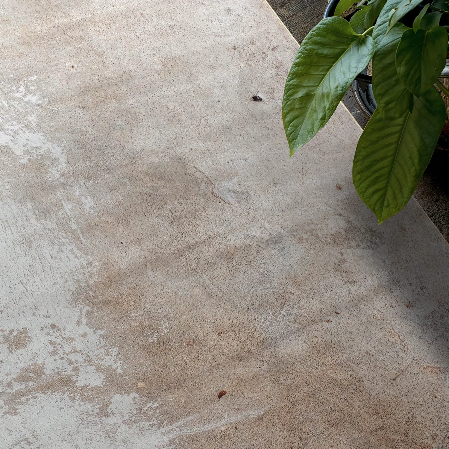 Tappeto Wilton - Bornos (grigio/beige)
