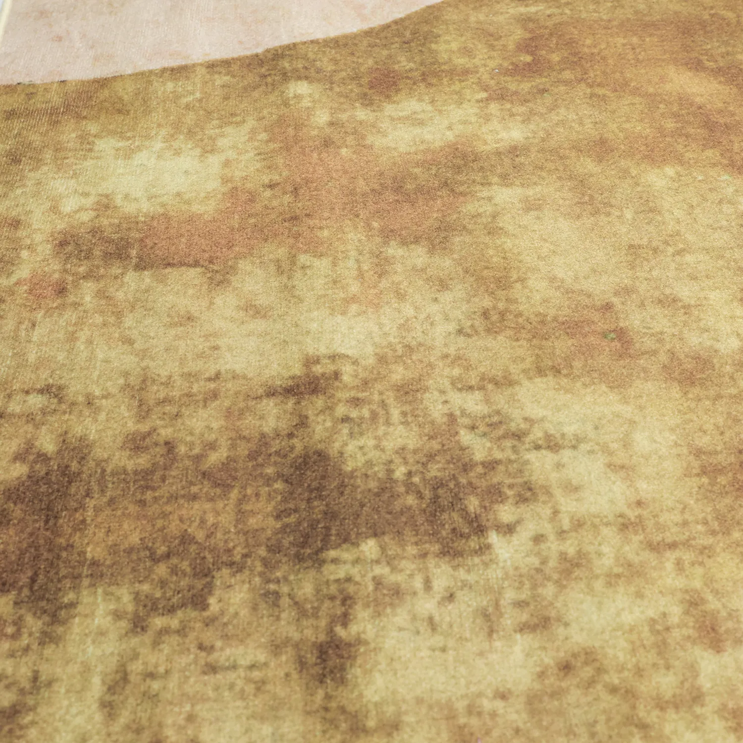 Tappeto Wilton - Lazio (beige/rosa)