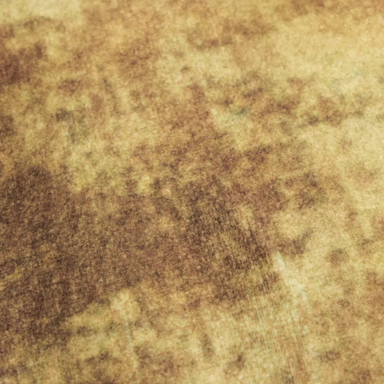 Tappeto Wilton - Lazio (beige/rosa)