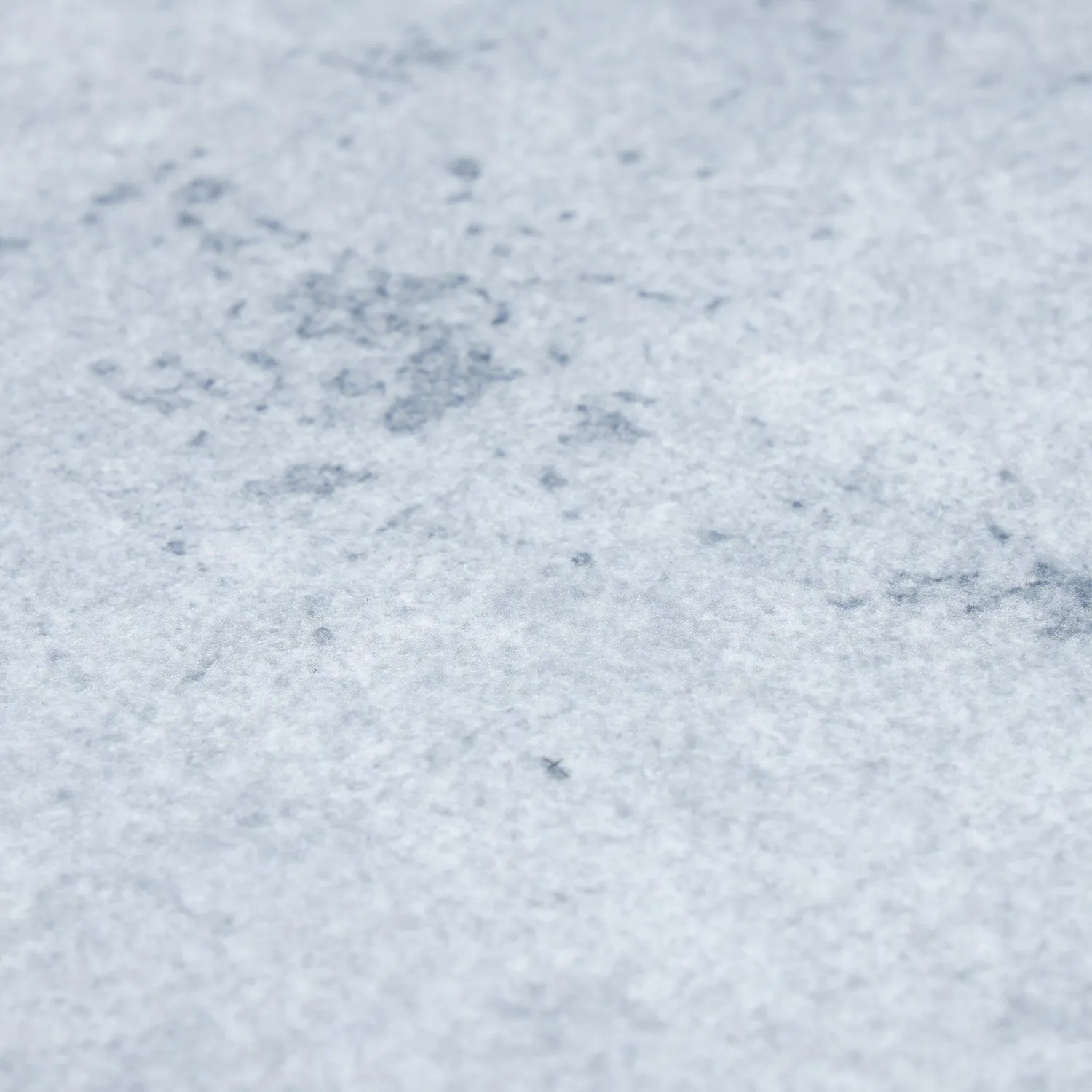 Tappeto Wilton - Lynton (grigio chiaro)